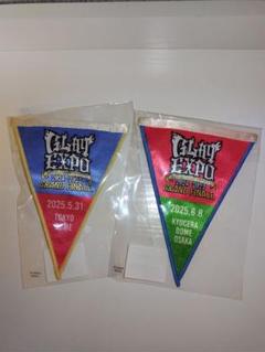 オマケ付き！翌日発送☆新品 GLAY 愛知 名古屋 福岡 ガーランド バッジ オマケ付き！翌日発送☆ GLAY 福岡 ガーランド バッジ グッズ の