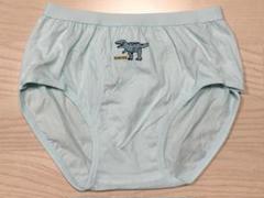 ●男の子●小学生●恐竜柄●水色●ブリーフ●150cmサイズ程度●前開き●1枚●
