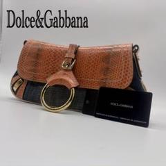 【極美品】DOLCE&GABBANA ショルダーバッグ チェーン パイソン