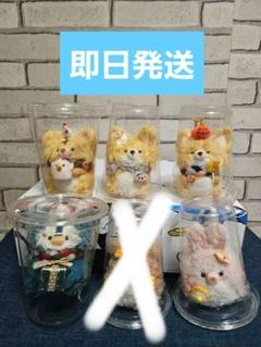 Cocoaroom フェルト ぬいぐるみ 作家