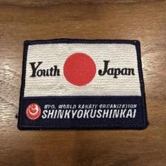 極真空手 新極真会ワッペン｜Yahoo!フリマ（旧PayPayフリマ）