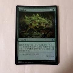 mtg 稀少 ティファ エアリス 金箔 プレリリース プロモ ２枚セット fin mtg 稀少 金箔 プレリリース プロモ ティファ FOIL fin - メルカリ