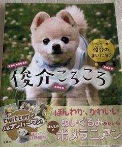 2025年最新】ぬいぐるみ 犬 俊介の人気アイテム - メルカリ