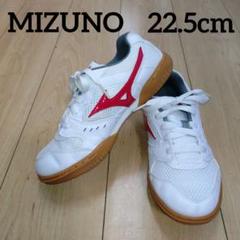 MIZUNO インドアシューズ 体育館シューズ スニーカー レディース 22.5