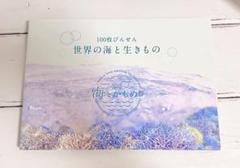 100枚びんせん　世界の海と生きもの　鍵井靖章