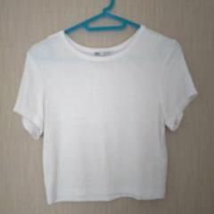 ZARA ホワイト 半袖Tシャツのサムネイル