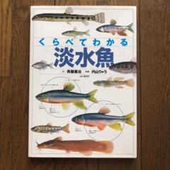 くらべてわかる淡水魚 : 識別ポイントで見分ける