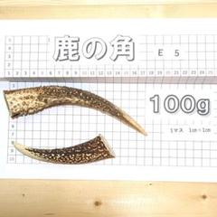 鹿の角 E5 2本セット 約100g 鹿角 鹿のツノ しかつの - メルカリ