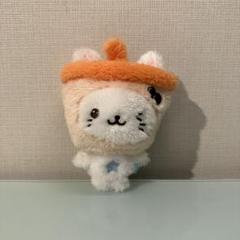 NCTWISH ユウシ バブルにゃん ぬいぐるみ NCTWISH ユウシ バブルニャン ぬいぐるみ - メルカリ