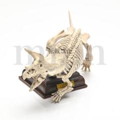 【未開封】NTC 古生物 トリケラトプス 骨格 ネイチャーテクニカラー ガチャ