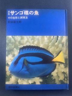 2025年最新】原色海水魚の人気アイテム - メルカリ