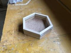 六角標本箱