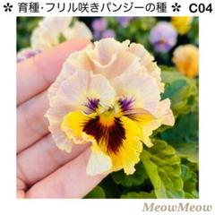 2025年最新】フリルパンジー種の人気アイテム - メルカリ