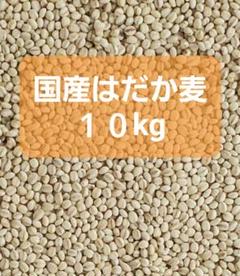 国産はだか麦 10kg(5kg×2袋) 国産はだか麦 10kg(5kg×2袋) - メルカリ
