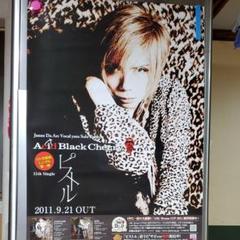 2025年最新】Acid black cherry ポスターの人気アイテム - メルカリ