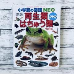 新版　小学館の図鑑NEO 両生類・はちゅう類