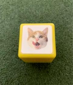 岩合光昭 スタンプの中古/未使用品 - メルカリ 岩合光昭 スタンプの中古/未使用品 - メルカリ