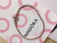 ネックレス パンドラ PANDORAの中古/未使用品 - メルカリ ネックレス パンドラ PANDORAの中古/未使用品 - メルカリ