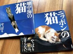 写真集　岩合光昭　単行本　二冊　地中海　猫のいる風景 巻セット