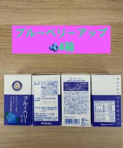 ナリス化粧品 - ❣️新入荷⭐️ ⭐️ナリス化粧品⭐️ ⭐️ブルーベリー　アップ　3箱 2025年最新】naris プラセンタの人気アイテム - メルカリ