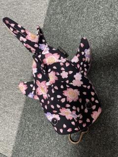 kasei サマースペシャル 5匹セット kasei サマースペシャル 5匹セット