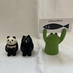 concombre コンコンブル ねこ パンダ カエル