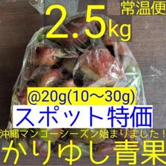 沖縄県産 摘果マンゴー/青マンゴー@20g(10〜30g)約2.5kg【常温便