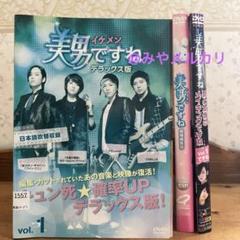 【韓国ドラマ】 美男ですね デラックス版 【レンタル落ちDVD】