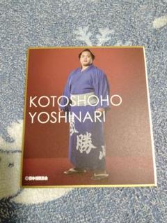 琴勝峰　力色紙　相撲