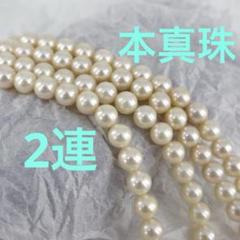 2863★本真珠　2連ネックレス　留具SILVER★パール　本パール★ 2863☆本真珠 2連ネックレス 留具SILVER☆パール 本パール