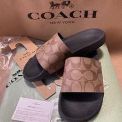 COACH サンダル ミュール 黒/ベージュ 楽天市場】ミュール（ブランドコーチ）（レディース靴｜靴）の通販