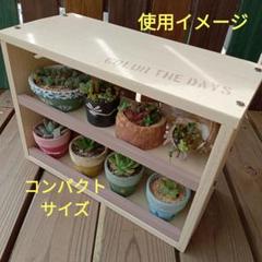 2025年最新】多肉棚 屋根の人気アイテム - メルカリ