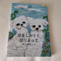 空をしかく切りとって 帆草とうか 詩 学生 新品