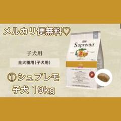 ニュートロ シュプレモ 子犬用 全犬種 【１９kg】 ①ニュートロ シュプレモ 子犬用 全犬種 19kg