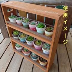 2025年最新】多肉棚 屋根の人気アイテム - メルカリ