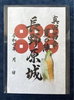 専用品です　御城印　限定 Amazon.co.jp: 水戸城 限定御城印 : おもちゃ