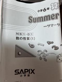 2025年最新】Sapix 6年 夏期講習の人気アイテム - メルカリ