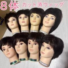 ファッション 2025年最新】カットウィッグ まとめ売りの人気アイテム - メルカリ ウィッグ・エクステ