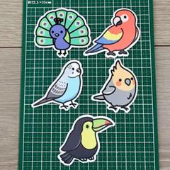 10枚セット　防水ステッカー　鳥　シール　スマホ　ヘルメット　パソコン　水筒