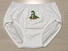 ●男の子●小学生●恐竜柄●白色●ブリーフ●150cmサイズ程度●前開き●1枚●