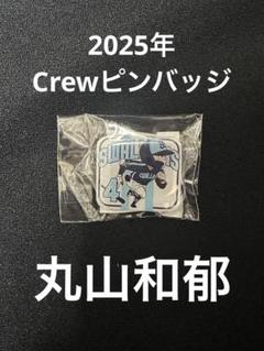2025年最新】ピンバッジ ヤクルトの人気アイテム - メルカリ
