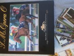 東ハト　競馬カード　テイエムオペラオーのフォルダ　カード200枚以上 東ハト 競馬カード テイエムオペラオーのフォルダ カード200枚