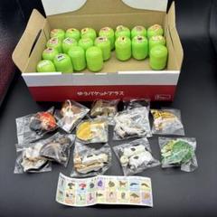 【希少】フルタ チョコエッグコレクション3BOX 希少】フルタ チョコエッグコレクション3BOX