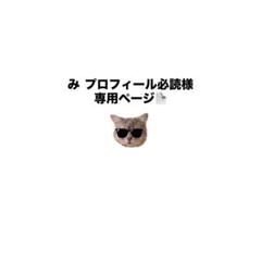ホイップデコ　韓国　y2k トレカ　硬質　ケース　トレカケース　AA
