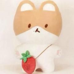 トレギ ベッキョン ぬいぐるみ 3点セット m64641149242_1.jpg?1747470476