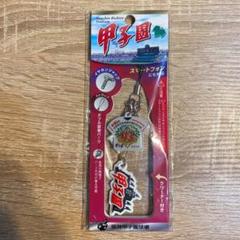 第95回全国高校野球選手権記念大会 ストラップ 日大三高【甲子園】