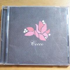 Cocco / ブーゲンビリア