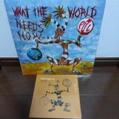 Pil What the World Needs Now LPレコードセット
