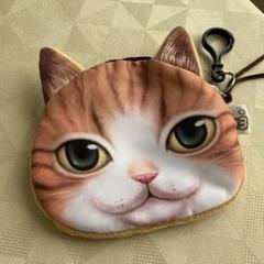 けい様用自作絵画蝶の舞う花畑茶トラ猫の絵星をつかまえて