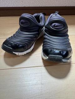 NIKE ダイナモフリー　20cm